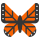 Butterfly 40x40